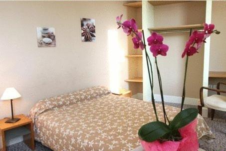 Bourg-Saint-Andéol Logis Hotel Le Clos Des Oliviers מראה חיצוני תמונה