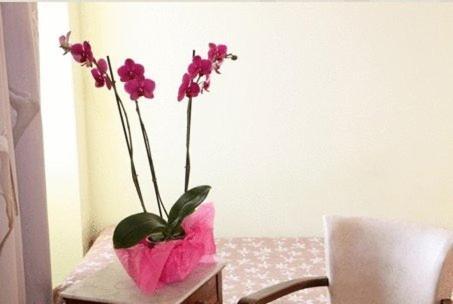 Bourg-Saint-Andéol Logis Hotel Le Clos Des Oliviers חדר תמונה